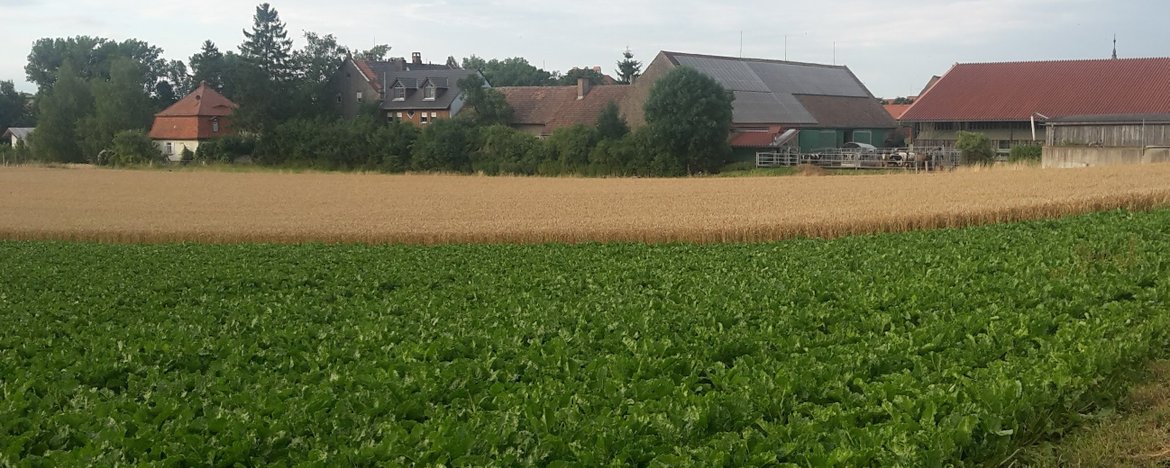 Unabhängiger Versicherungsmakler aus Bremen bietet nachhaltige Versicherungen für Landwirtschaft und Biohöfe